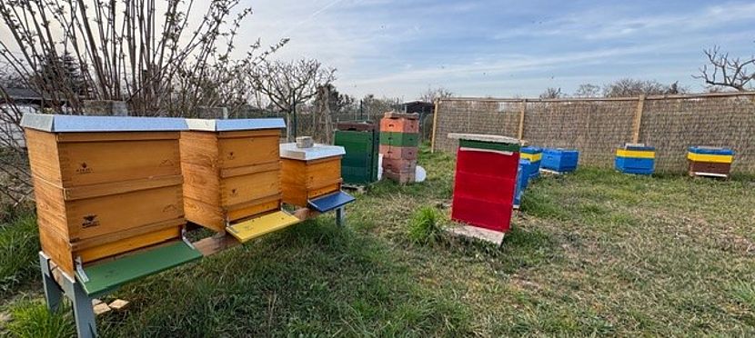 Umweltlotterie: Bienenhaus im Kulturgarten Hochheim – Nachhaltigkeit erleben und lernen