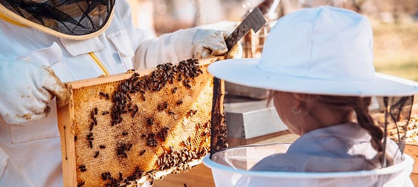 Umweltlotterie GENAU: Summ, Summ, Summ - Bienchen flieg herum