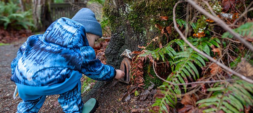 Umweltlotterie:Natur erleben im Wald – Neuer Waldlehrpfad für Löhnberg