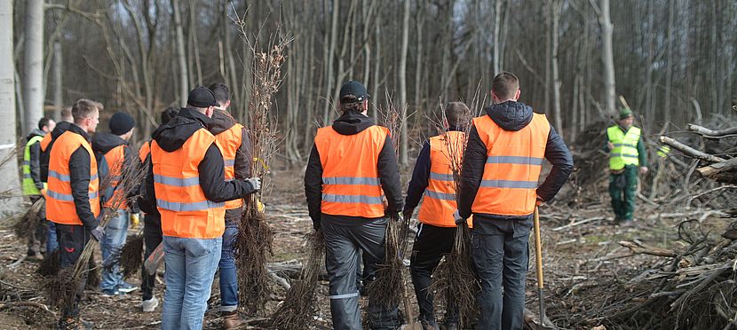 Umweltlotterie: Jeder Baum zählt! Umweltlotterie: Jeder Baum zählt!