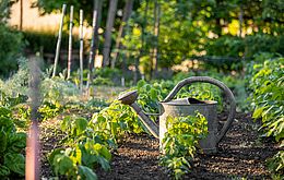 Umweltlotterie: Wurzelwerkstatt