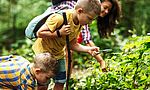 Umweltlotterie: Kindergruppe "Die Waldforscher"