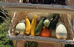 Umweltlotterie GENAU: Wurzelwerkstatt