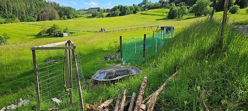 Umweltlotterie: Niederdieten blüht auf
