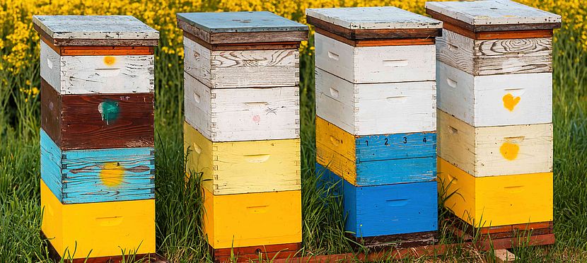 Umweltlotterie: Blaulichtbienen THW-Jugend-Schwalmstadt